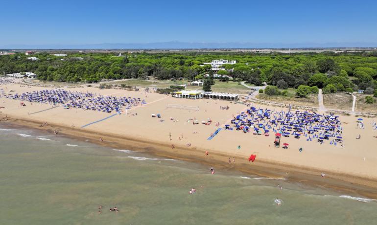 Sandy beach with blue umbrellas and calm sea, surrounded by pine forest.