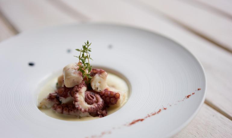 Octopus dish with cream and thyme garnish.